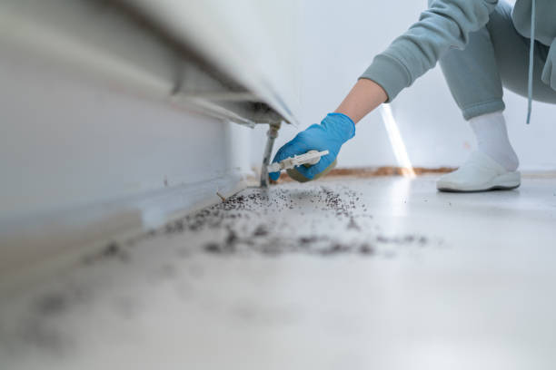 Trusted Oakland, OR Pest Control Experts